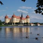 Schloss Moritzburg03