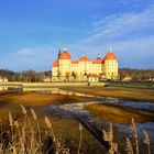 Schloss Moritzburg*2*