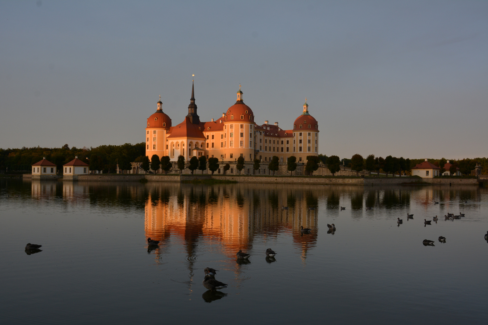 Schloß Moritzburg...Vorbereitung auf die Nachtruhe