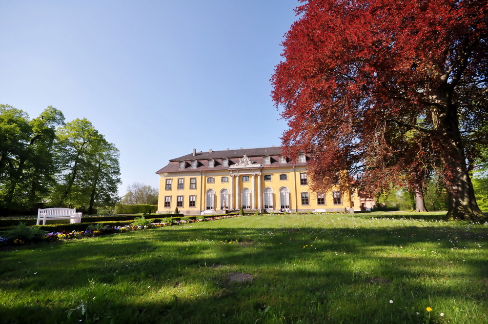 Schloss Mosigkau