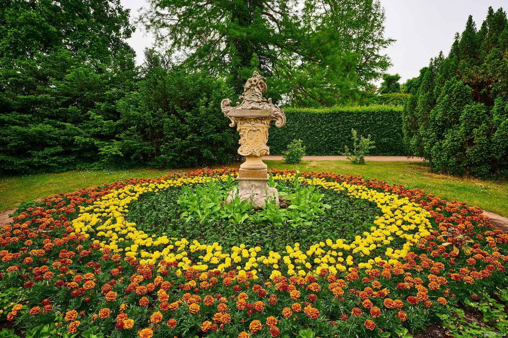 Schloss Mosigkau - Blumen-Rabatte
