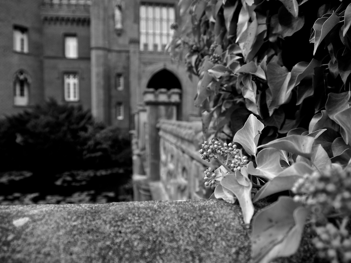 Schloss Moyland #1