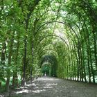 Schloss Moyland 10