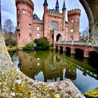 Schloss Moyland 