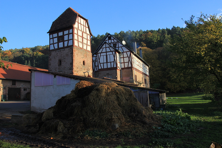 Schloss Nauses und der Misthaufen