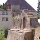 Schloss Neideck in Arnstadt