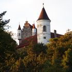 Schloss Neidstein