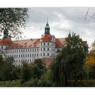 Schloß Neuburg a.d. Donau 1