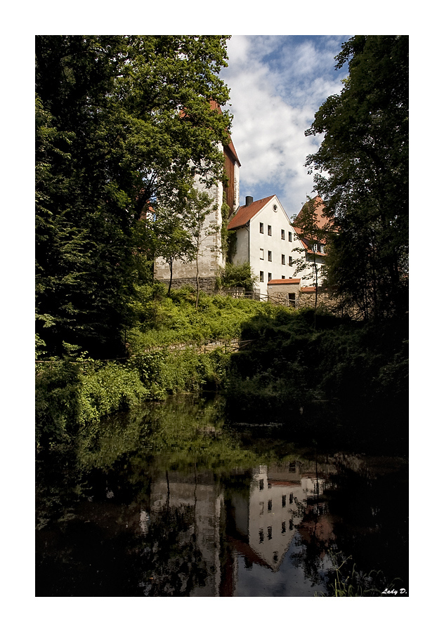 Schloss Neuburg... III