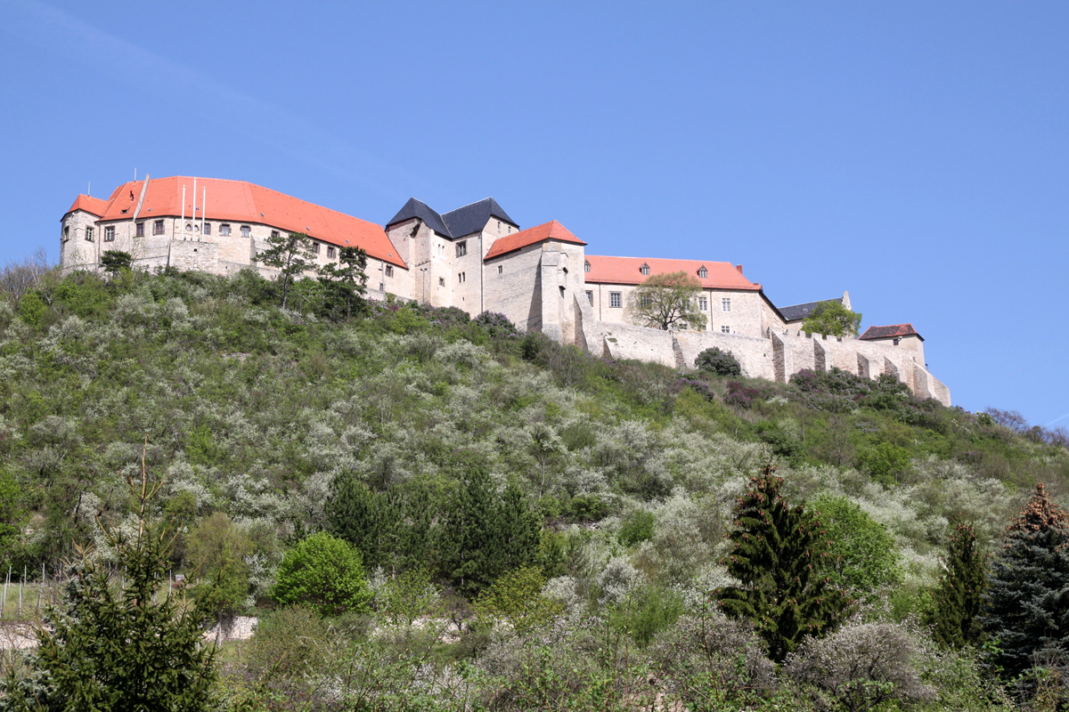 Schloß Neuenburg in Freyburg/ Unstrut Foto & Bild ...
