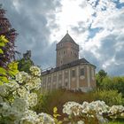 Schloss Neuhaus an der Donau 2