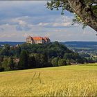 Schloss Neulengbach...