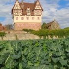 Schloss Neunhof bei Nürnberg im Knoblauchsland