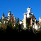 Schloss - Neuschwanstein