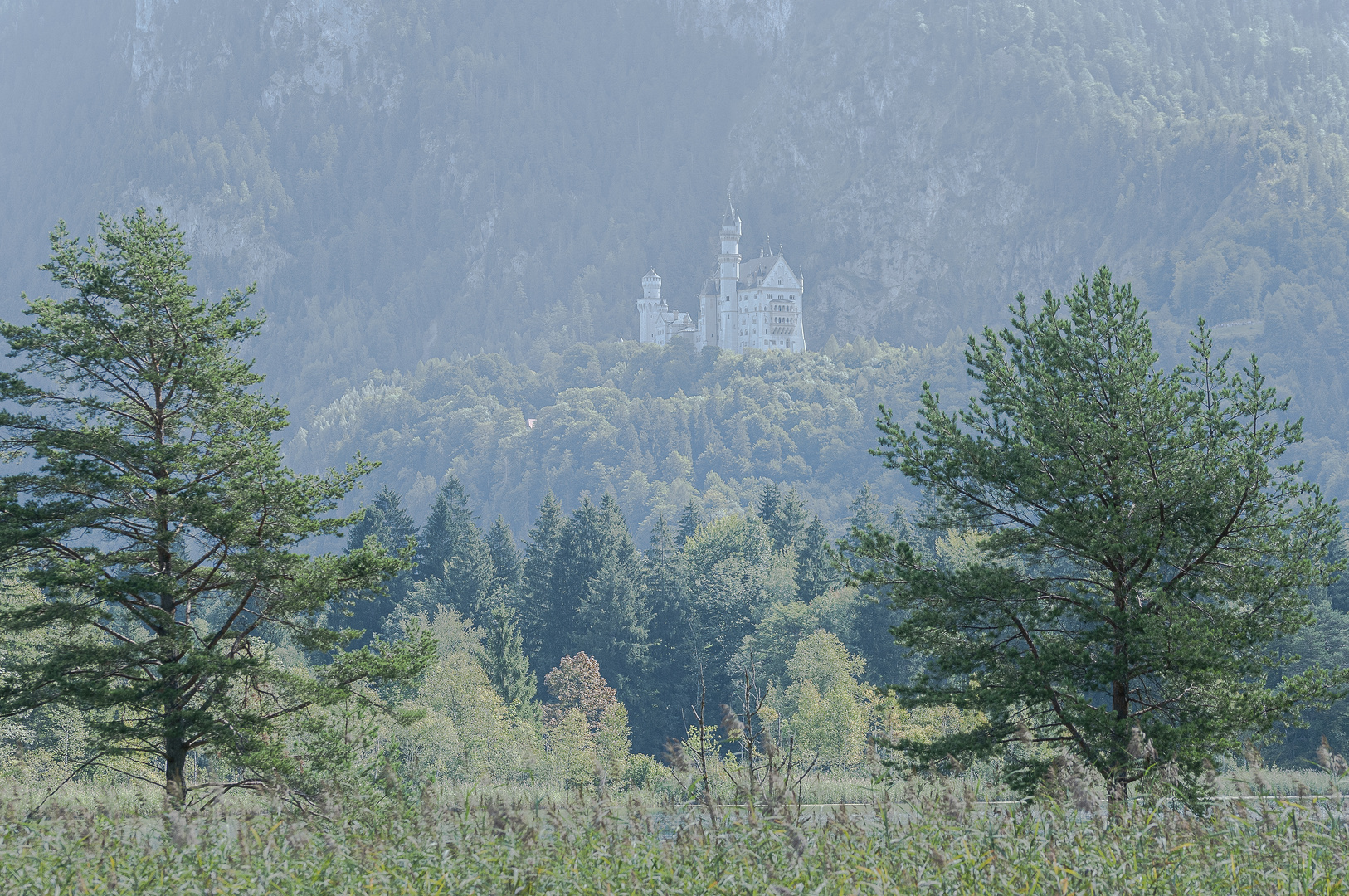  Schloss Neuschwanstein