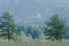  Schloss Neuschwanstein