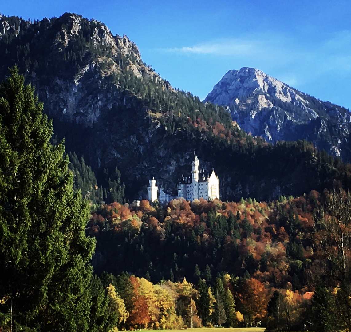 Schloss Neuschwanstein 