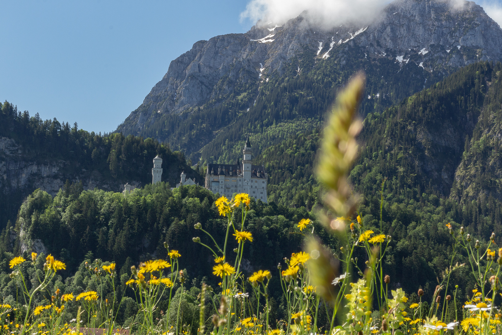 Schloss Neuschwanstein