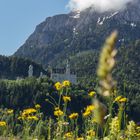 Schloss Neuschwanstein