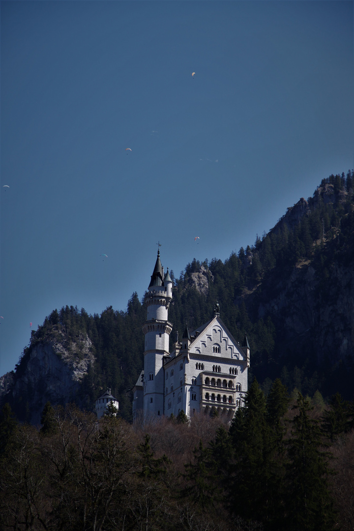 Schloss Neuschwanstein