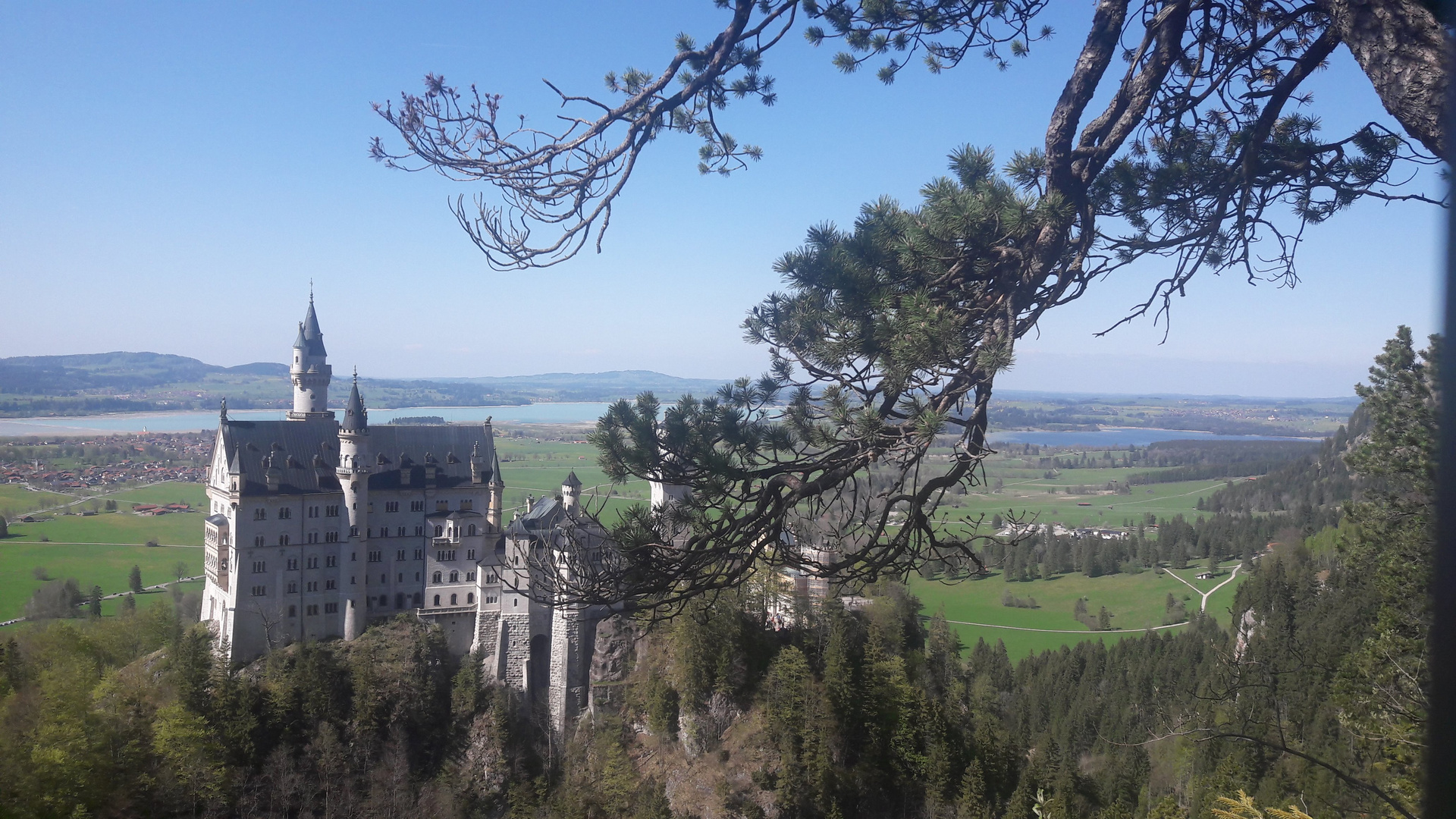 Schloss Neuschwanstein