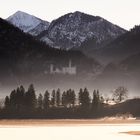 Schloss Neuschwanstein