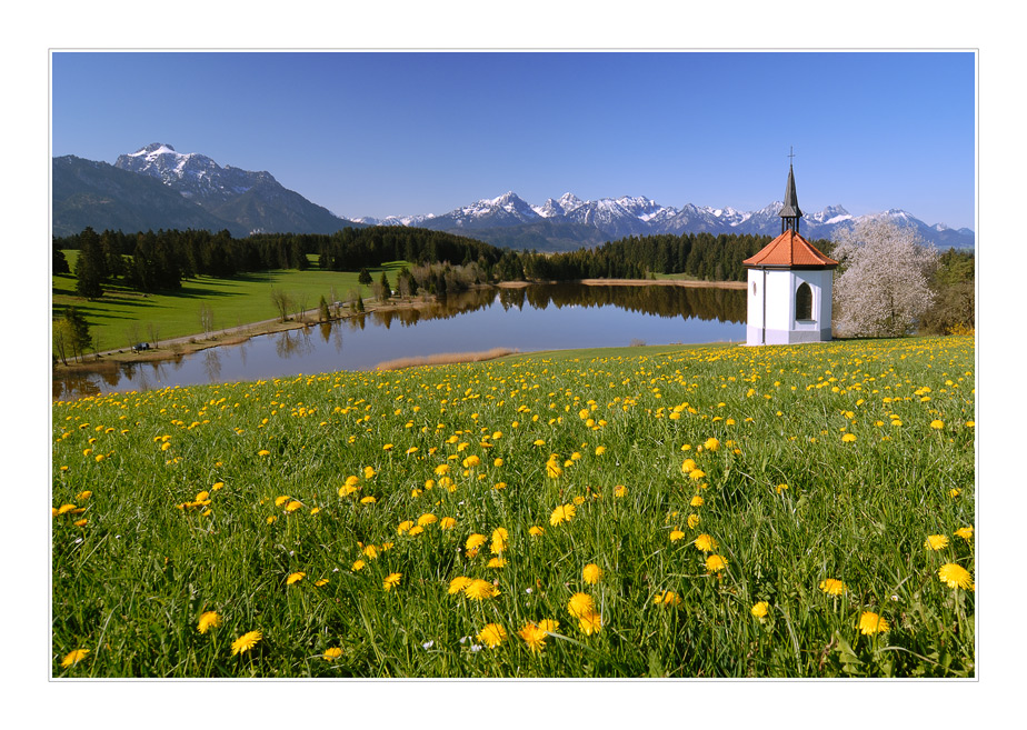 Schloß Neuschwanstein?