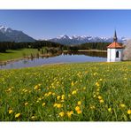 Schloß Neuschwanstein?