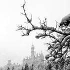 Schloss Neuschwanstein