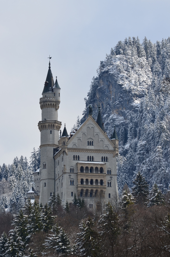 Schloss Neuschwanstein