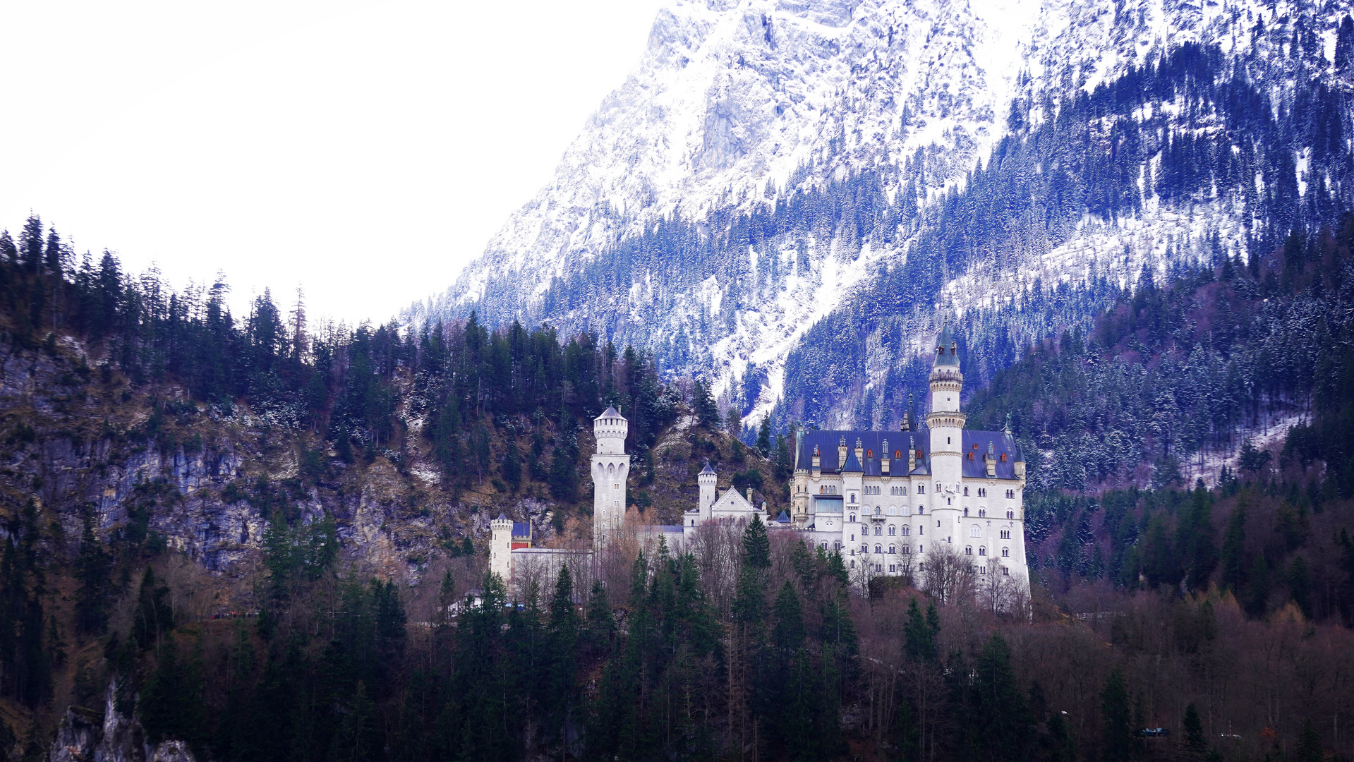 Schloss Neuschwanstein 