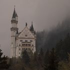 Schloss Neuschwanstein ...