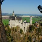 Schloss Neuschwanstein