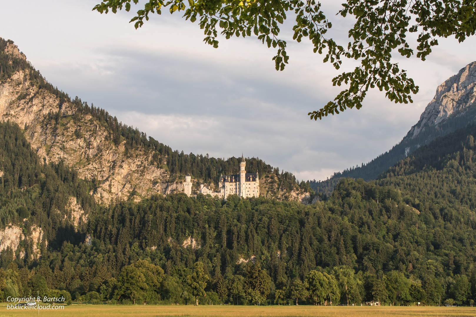 Schloss Neuschwanstein Bergsicht