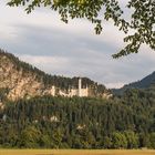 Schloss Neuschwanstein Bergsicht