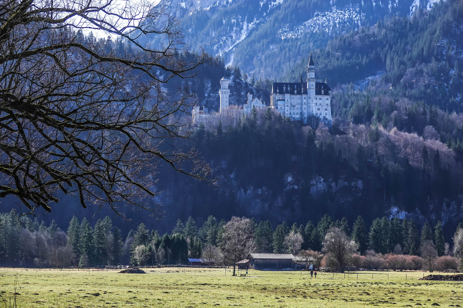 Schloss Neuschwanstein - Hohenschwangau