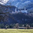 Schloss Neuschwanstein - Hohenschwangau