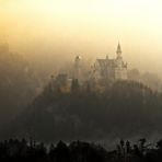 Schloss Neuschwanstein im Nebel