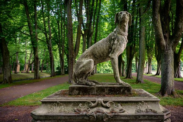 Schloss Nordkirchen 08