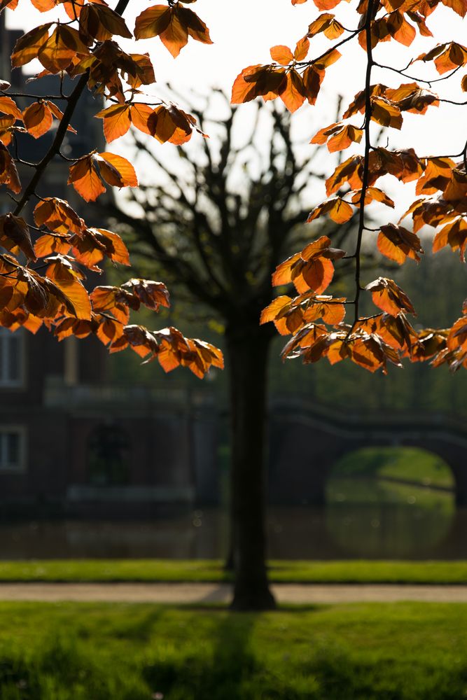 Schloss Nordkirchen