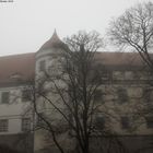 Schloss Nossen im herbstlichen Nebel