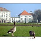 Schloss Nymphenburg