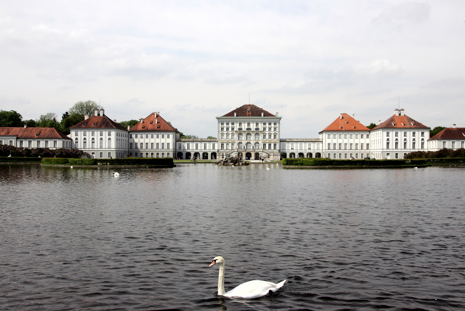 Schloss Nymphenburg mit Schwan