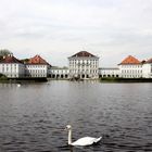 Schloss Nymphenburg mit Schwan