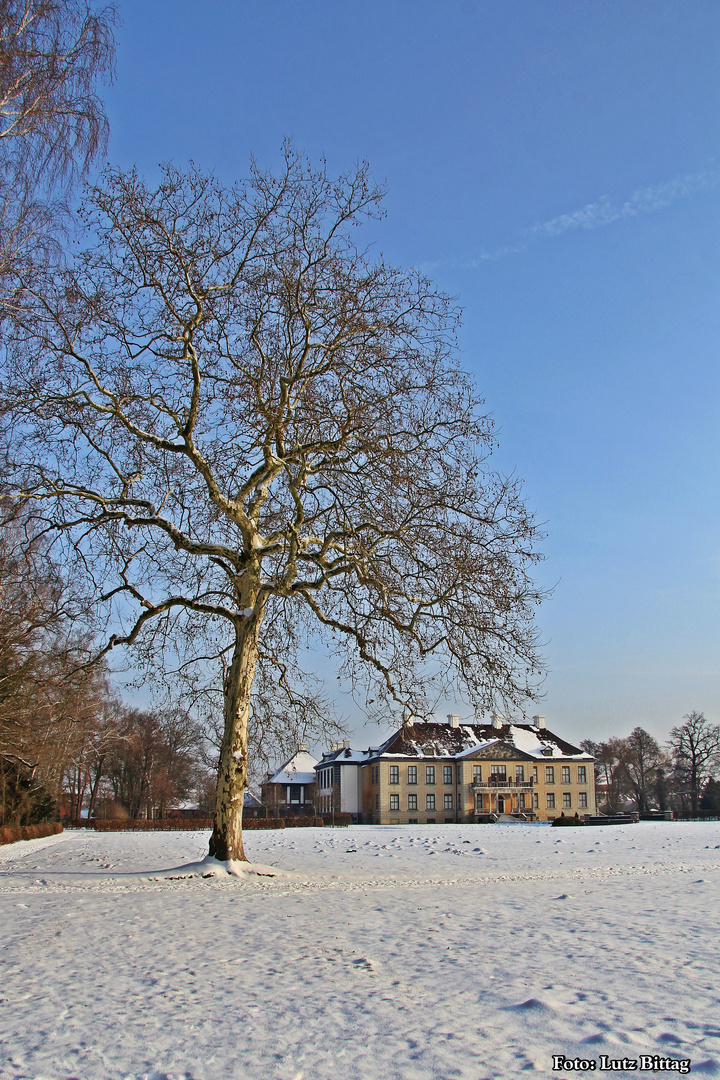 Schloss Oranienbaum