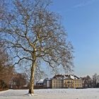 Schloss Oranienbaum