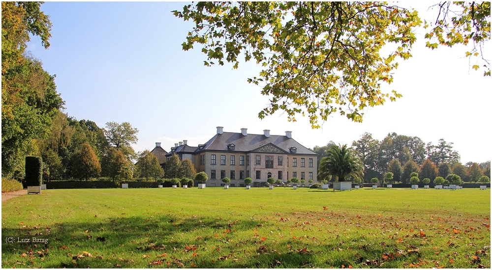 Schloss Oranienbaum im Herbst