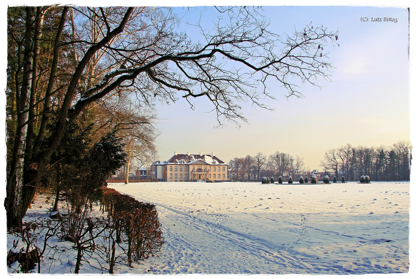 Schloss Oranienbaum im Winter