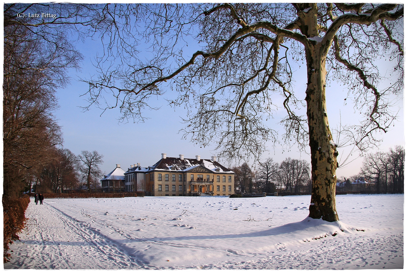 Schloss Oranienbaum im Winter