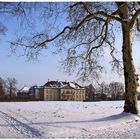 Schloss Oranienbaum im Winter